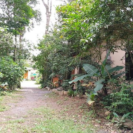 Casitas Del Bosque Monteverde. Pokoj fotografie