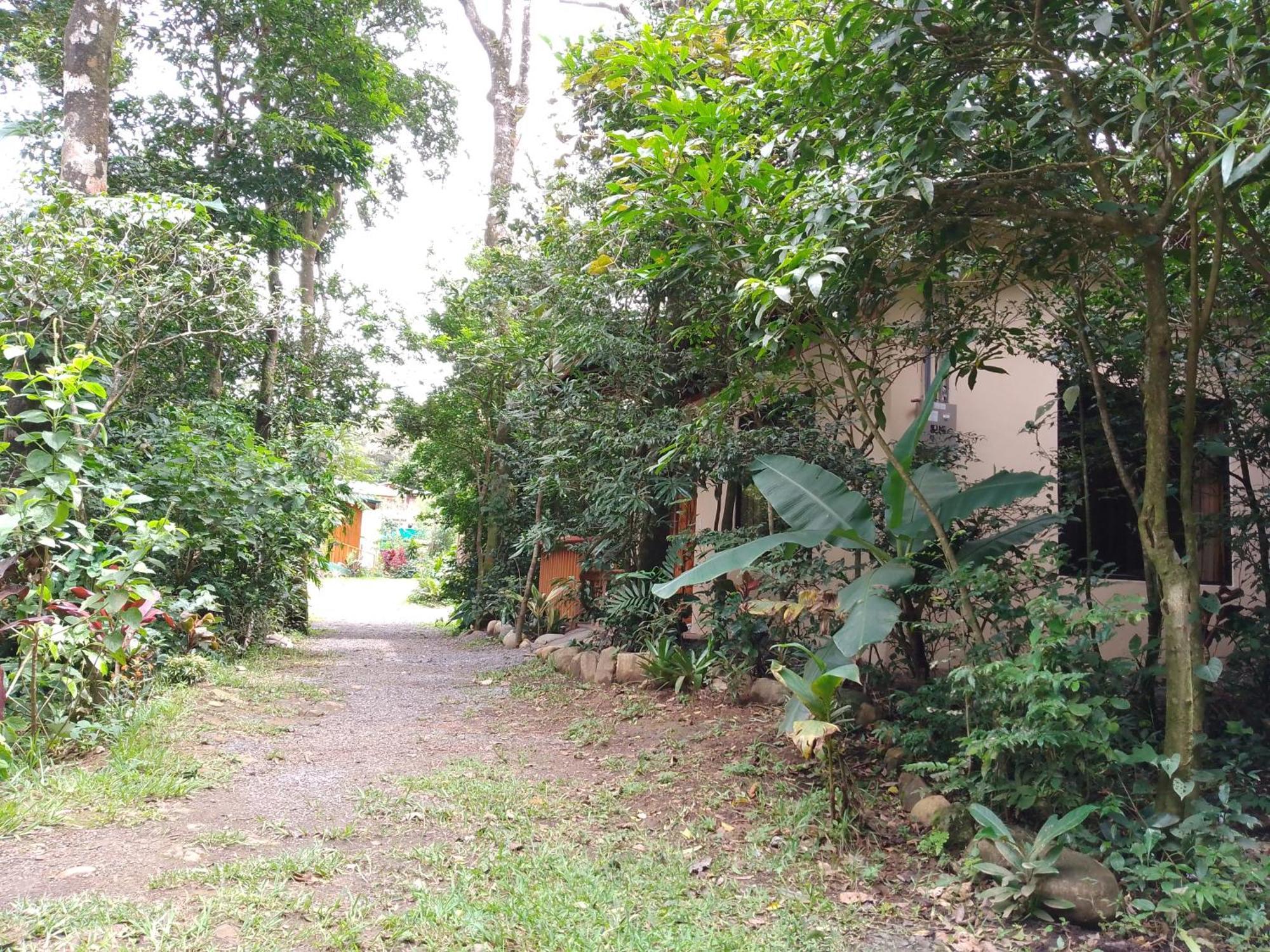 Casitas Del Bosque Monteverde. Pokoj fotografie